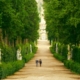 View of Boboli Gardens in Florence