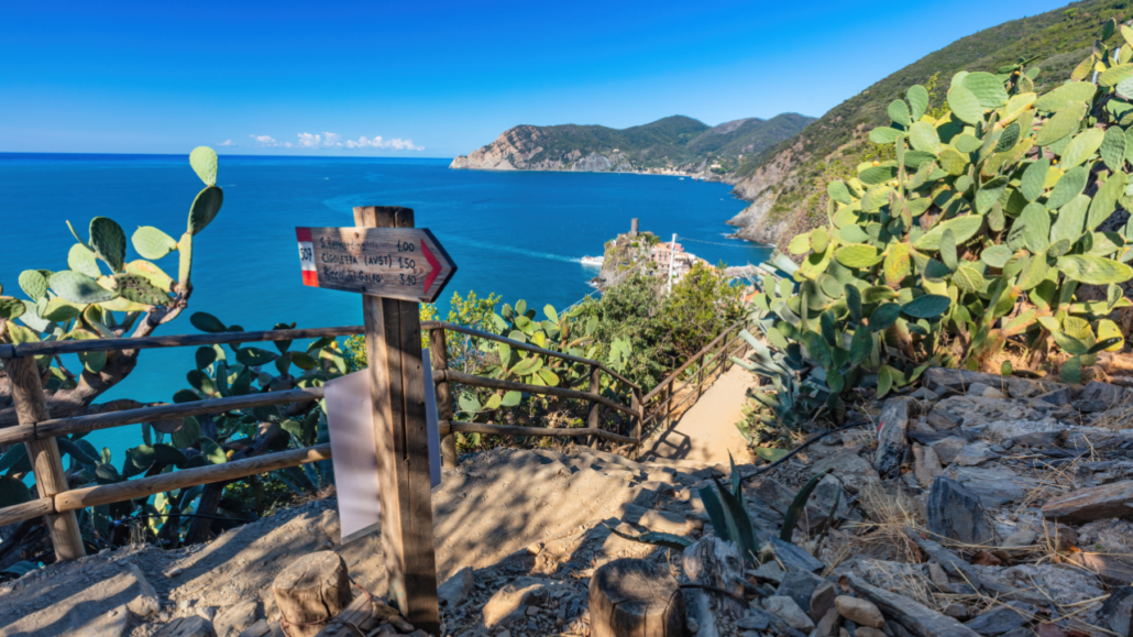 Book Cinque Terre National Park with Tuscany Daily Tours