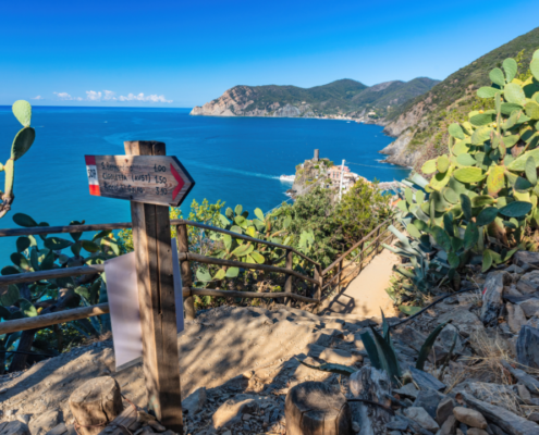 Book Cinque Terre National Park with Tuscany Daily Tours